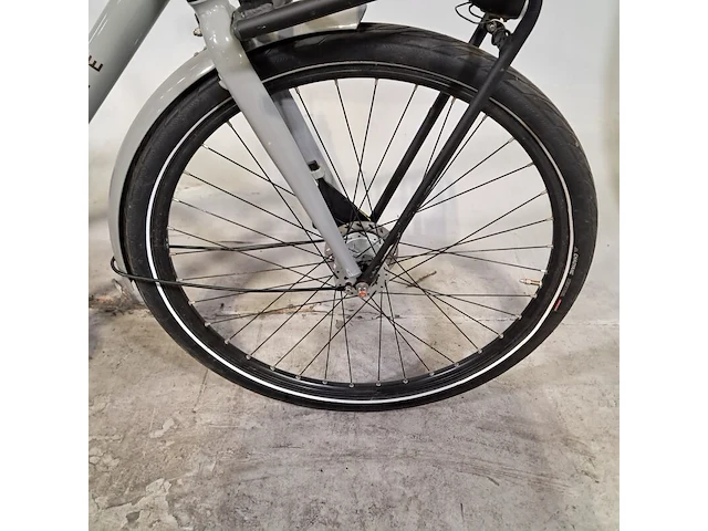 Herenfiets, gazelle, heavy duty - afbeelding 13 van  18