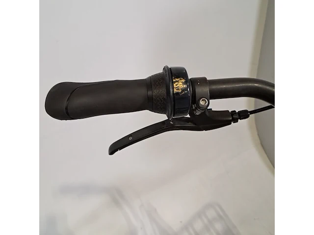 Herenfiets, gazelle, heavy duty - afbeelding 16 van  18