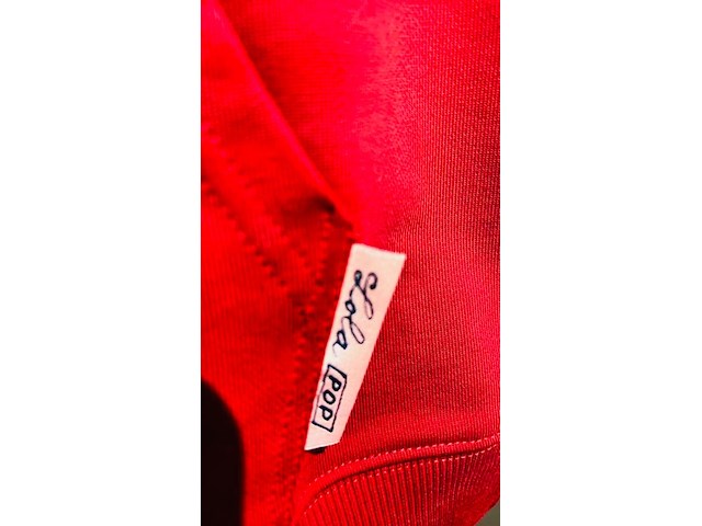 Herman brood gesigneerde hoodie - maat l - afbeelding 7 van  8