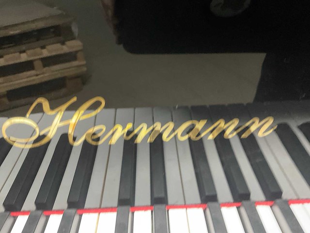 Hermann piano / vleugel - afbeelding 8 van  8