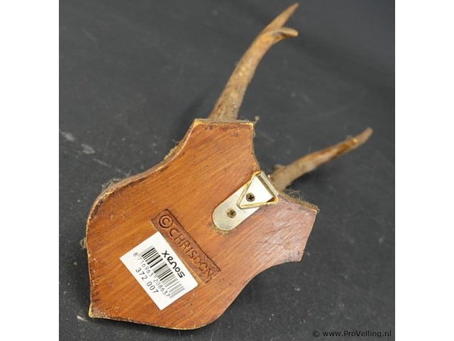 Herten gewei op schild - afbeelding 5 van  5