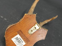 Herten gewei op schild - afbeelding 5 van  5