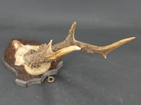 Hertengewei op houten schild - afbeelding 4 van  5