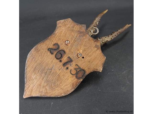 Hertengewei op houten schild - afbeelding 5 van  5