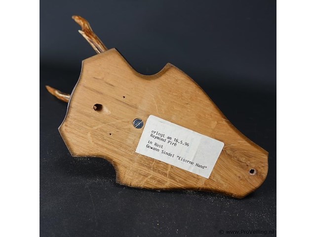 Hertengewei op schild - afbeelding 5 van  5