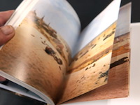 Het haagse schoolboek - afbeelding 5 van  5