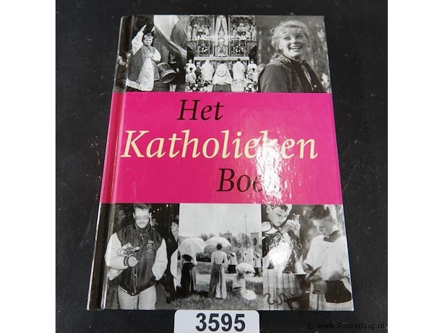 Het katholiekenboek - afbeelding 1 van  5