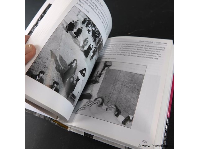 Het katholiekenboek - afbeelding 4 van  5