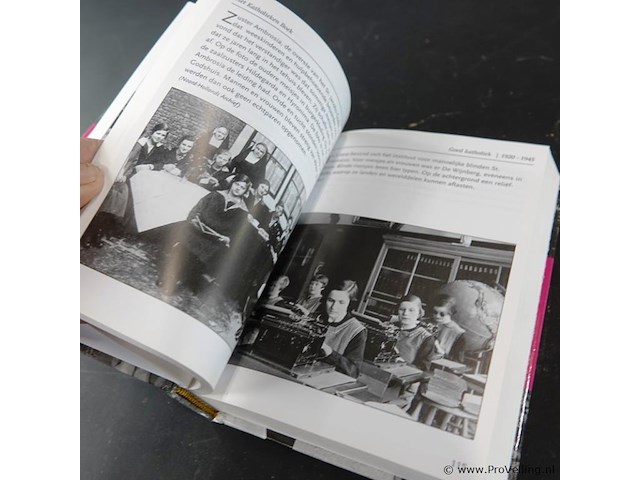 Het katholiekenboek - afbeelding 5 van  5