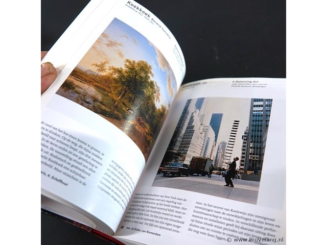Het nederlandse kunstboek - afbeelding 4 van  5