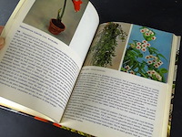 Het nieuwe kamerplanten boek - afbeelding 5 van  5