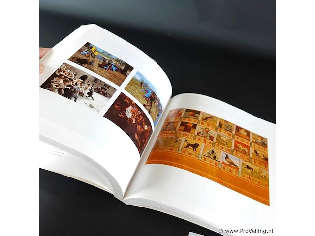 Het verhaal van taal. negen eeuwen nederlands - afbeelding 4 van  5