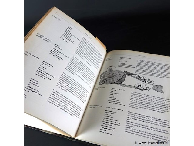 Het volkomen visboek - afbeelding 4 van  5