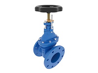 High-quality dn50 pn16 marine globe valve - durable cast iron shut-off valve for ship and offshore use - afbeelding 1 van  7