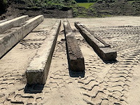 Hijpalen (8x) - afbeelding 4 van  6