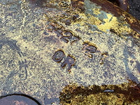 Hijsblok - afbeelding 6 van  6