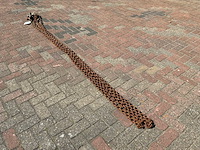 Hijsketting tweesprong met inkorthaken - afbeelding 1 van  3