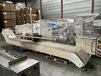 Hinderink - elevating conveyor - 1995