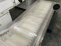 Hinderink - elevating conveyor - 1995 - afbeelding 3 van  6