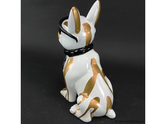 Hippe bulldog - afbeelding 3 van  5