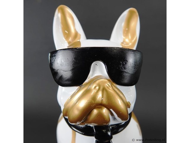 Hippe bulldog - afbeelding 4 van  5