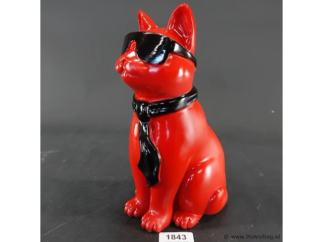 Hippe kat - afbeelding 1 van  5