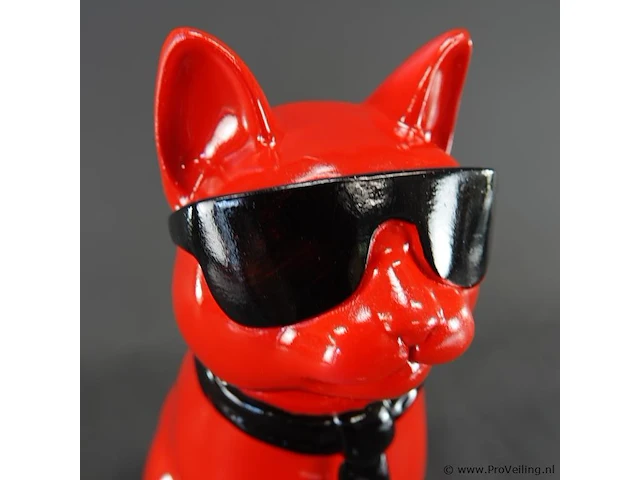 Hippe kat - afbeelding 3 van  5