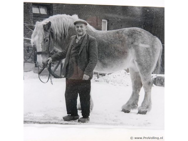 Historische foto van boer met trekpaard - afbeelding 3 van  5