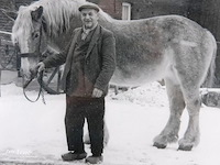 Historische foto van boer met trekpaard - afbeelding 3 van  5