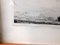 Historische foto van boer met trekpaard - afbeelding 4 van  5