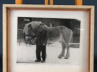 Historische foto van boer met trekpaard - afbeelding 1 van  5