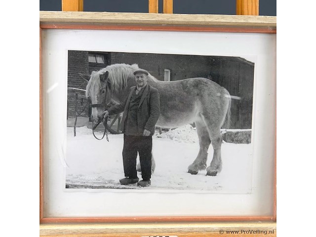 Historische foto van boer met trekpaard - afbeelding 2 van  5
