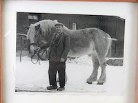 Historische foto van boer met trekpaard - afbeelding 2 van  5