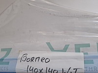 Hoekligbad xenz, borneo, glans wit - afbeelding 6 van  6