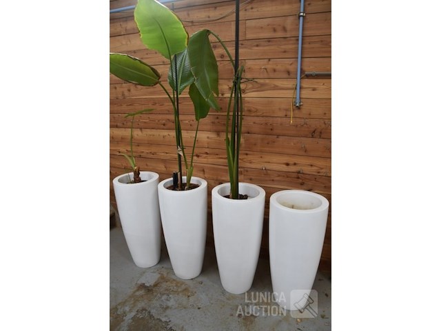 Hoge design plantenpotten - afbeelding 1 van  3