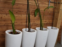 Hoge design plantenpotten - afbeelding 4 van  4