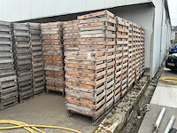 Hol bolbak (680x) - afbeelding 1 van  4