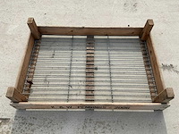 Hol bolbak (680x) - afbeelding 3 van  4