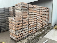 Hol bolbak (680x) - afbeelding 4 van  4