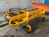 Holaras bermhark - afbeelding 2 van  8