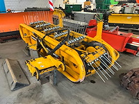 Holaras bermhark - afbeelding 3 van  8