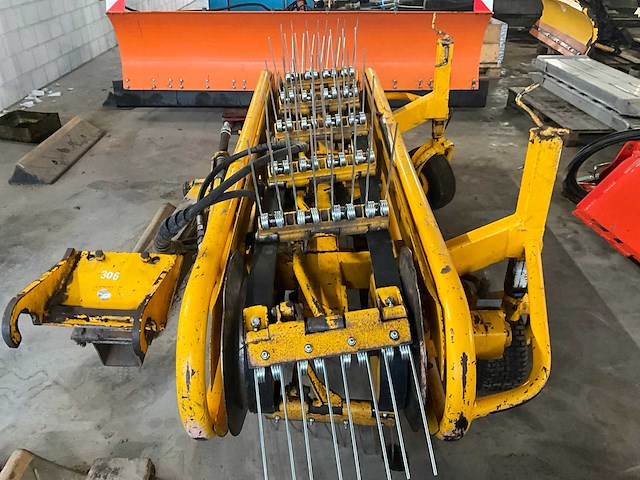 Holaras bermhark - afbeelding 4 van  8