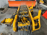 Holaras bermhark - afbeelding 4 van  8