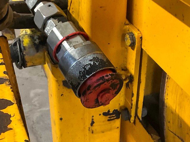 Holaras bermhark - afbeelding 8 van  8