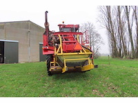 Holaras tordisc morreau zelfrijdende uienrooi combinatie - afbeelding 2 van  4