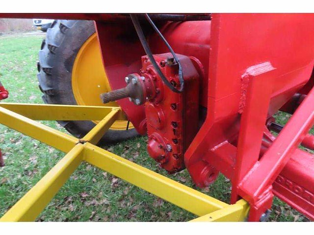 Holaras tordisc morreau zelfrijdende uienrooi combinatie - afbeelding 3 van  4