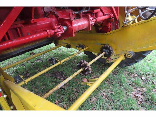 Holaras tordisc morreau zelfrijdende uienrooi combinatie - afbeelding 4 van  4