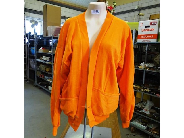 Holland oranje vest m - afbeelding 1 van  3