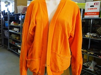 Holland oranje vest m - afbeelding 1 van  3