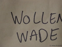 Hollandse wollen wade deken - afbeelding 3 van  3